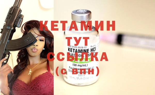 прущие грибы Дмитров